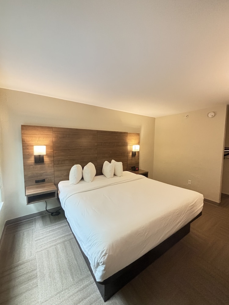 Deluxe Room, 1 King Bed, Accessible, Non Smoking (Roll-in shower w/ Grab Bars) - Photo 1