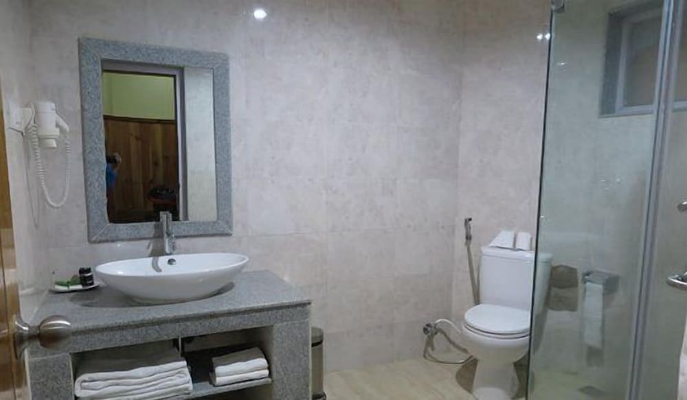 Deluxe Double or Twin Room photo 3