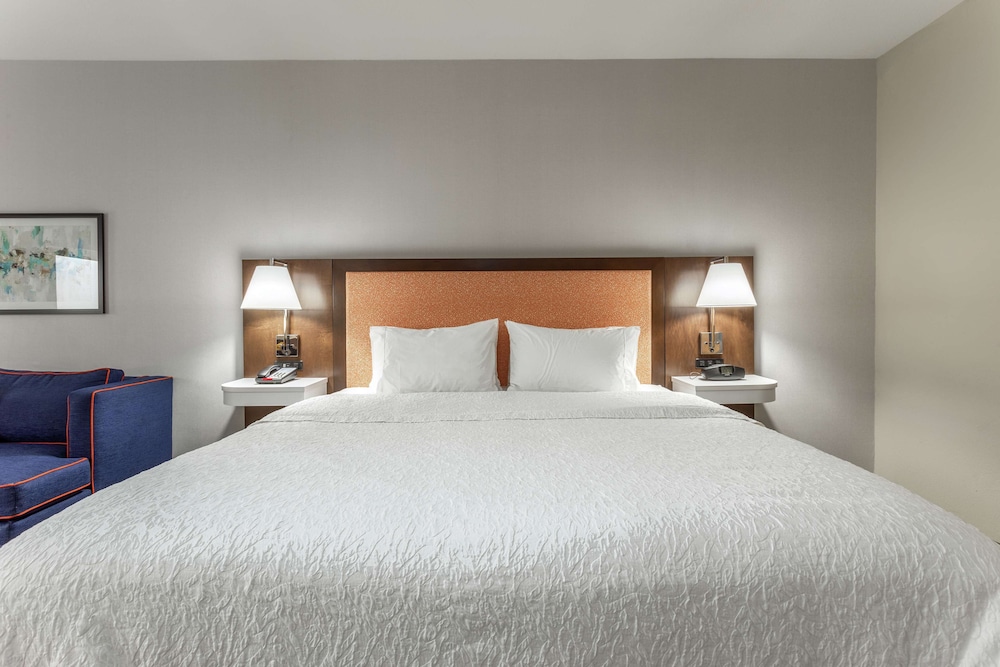 Room, 1 King Bed, Accessible - Photo 3