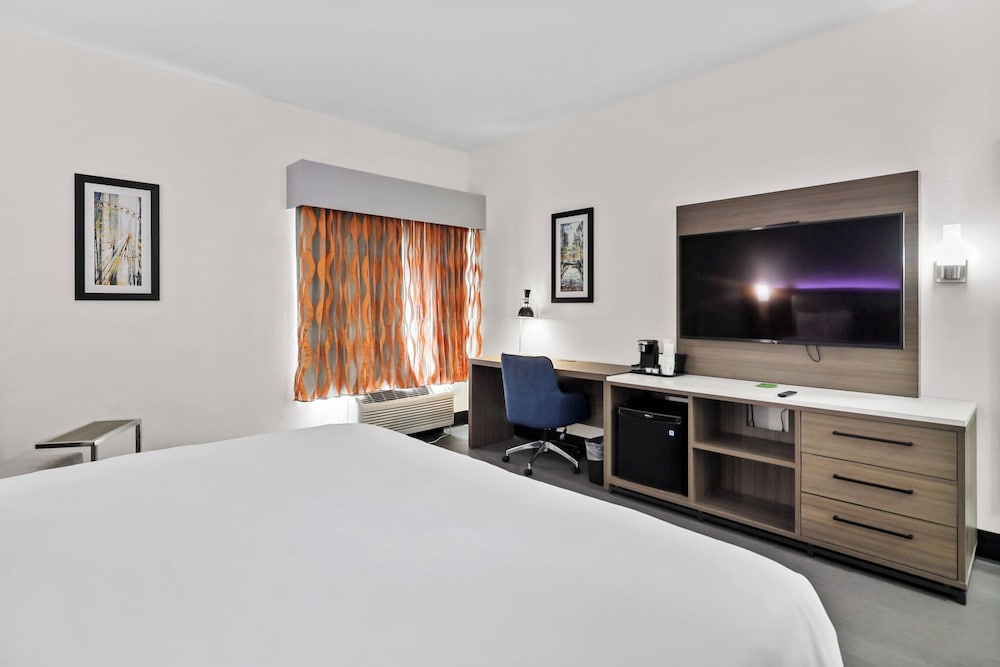 Room, 1 King Bed, Accessible, Non Smoking (Tub with Grab Bars) - Photo 3