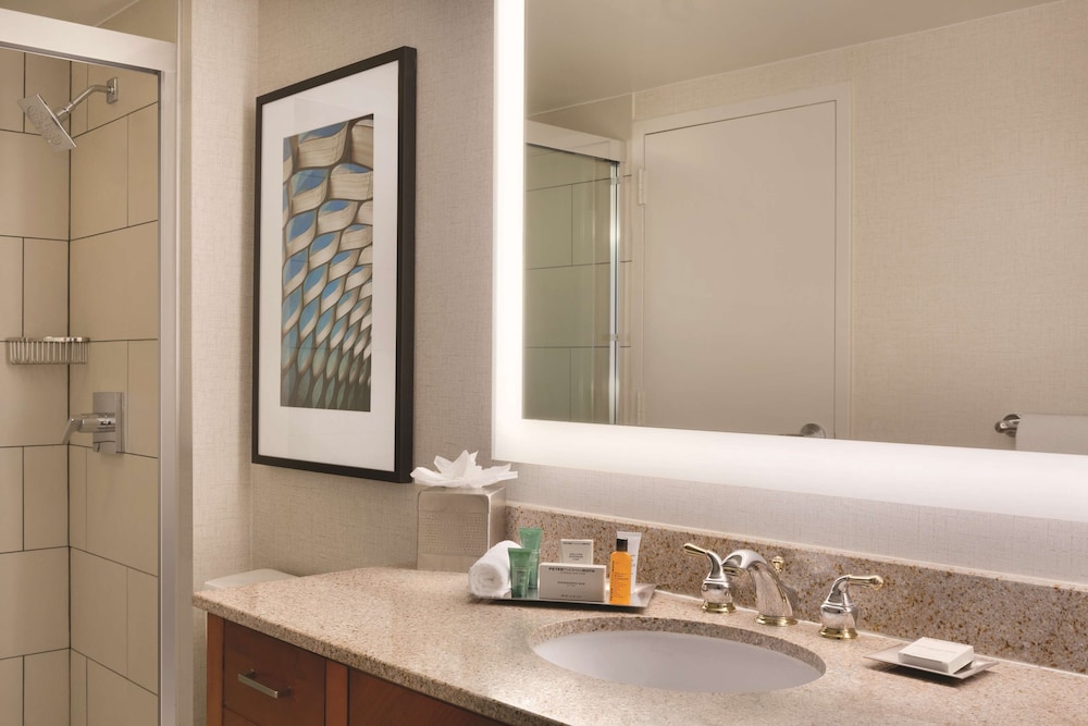 Suite, 1 Bedroom - Photo 8
