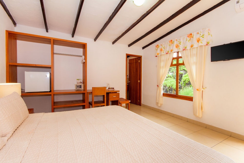 Standard Double or Twin Room photo 3
