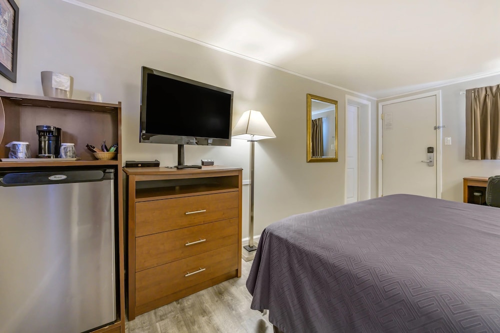 Standard Room, 1 King Bed, Non Smoking - Photo 8