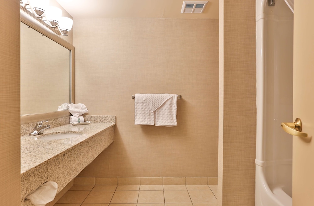 Standard Room, 1 King Bed, Non Smoking, Jetted Tub - Photo 10