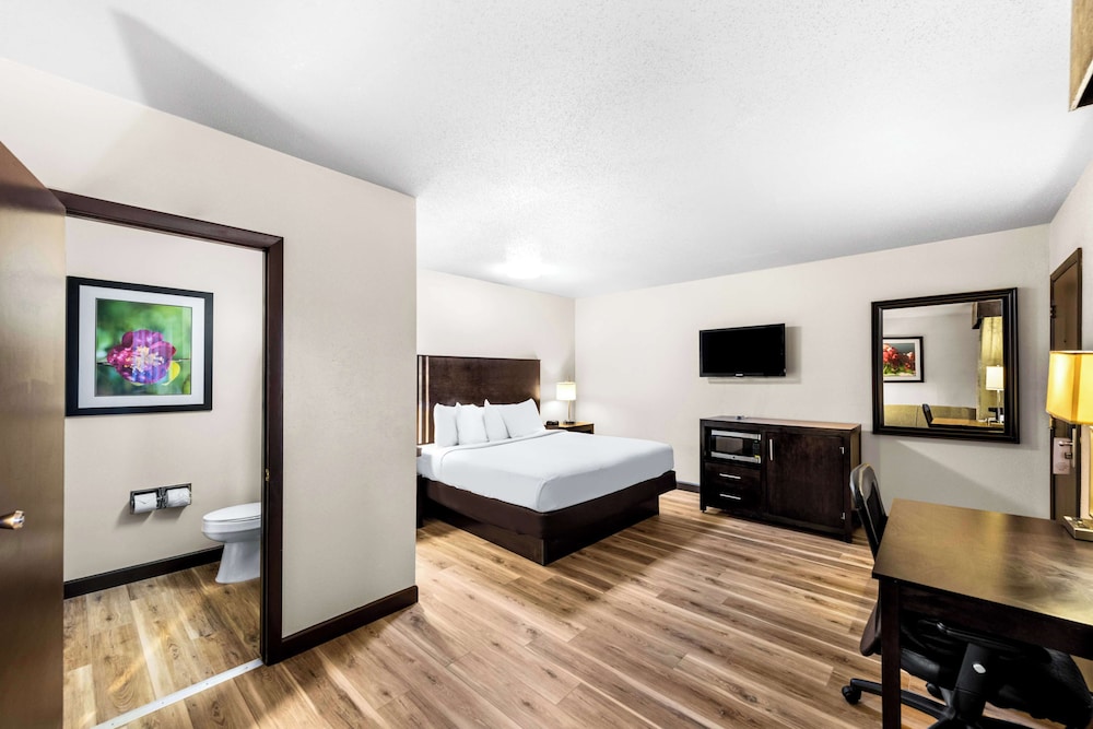 Premium Room, 1 King Bed, Non Smoking (2nd Floor, No Elevator) - Photo 1
