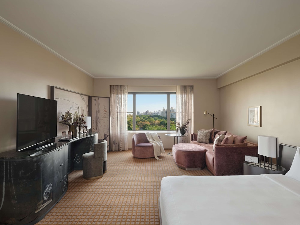 Studio Suite, Accessible, Park View (with Tub Shower)