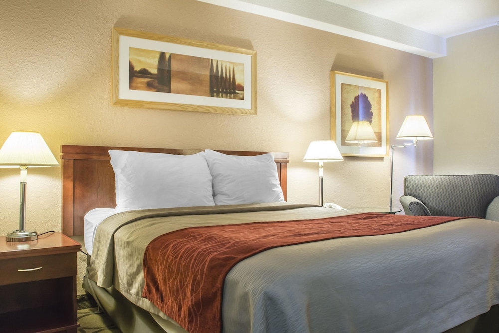 Standard Room, 1 Queen Bed, Non Smoking - Photo 9