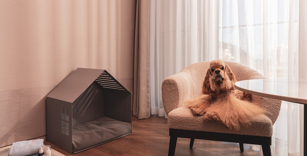 Shaka Pet Room photo 3