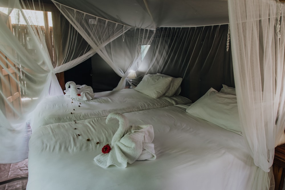 Tented chalet - Ngala photo 2