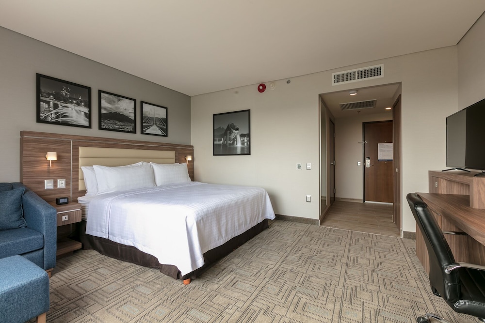 Room, 1 King Bed, Accessible (Mobility & Hearing, Roll-in Shower)