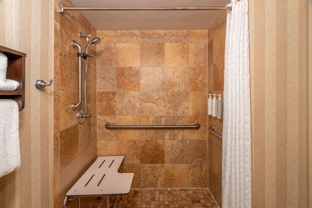 ADA Accessible, Room, 1 Queen Bed, Accessible (Roll-In Shower)