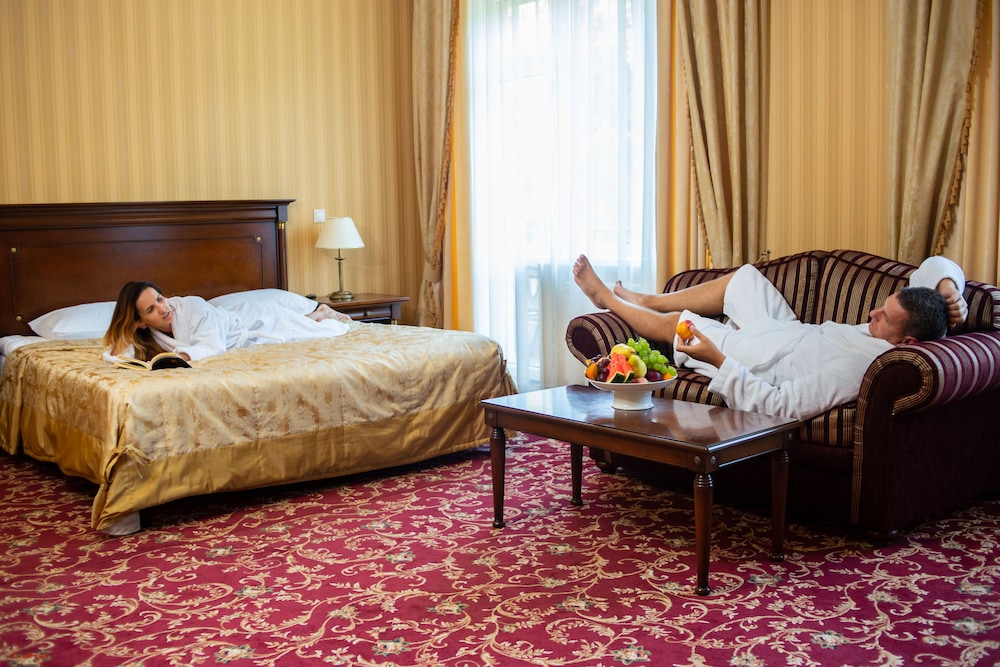 Superior Double Room, 1 King Bed with Sofa bed, Mountain View photo 3