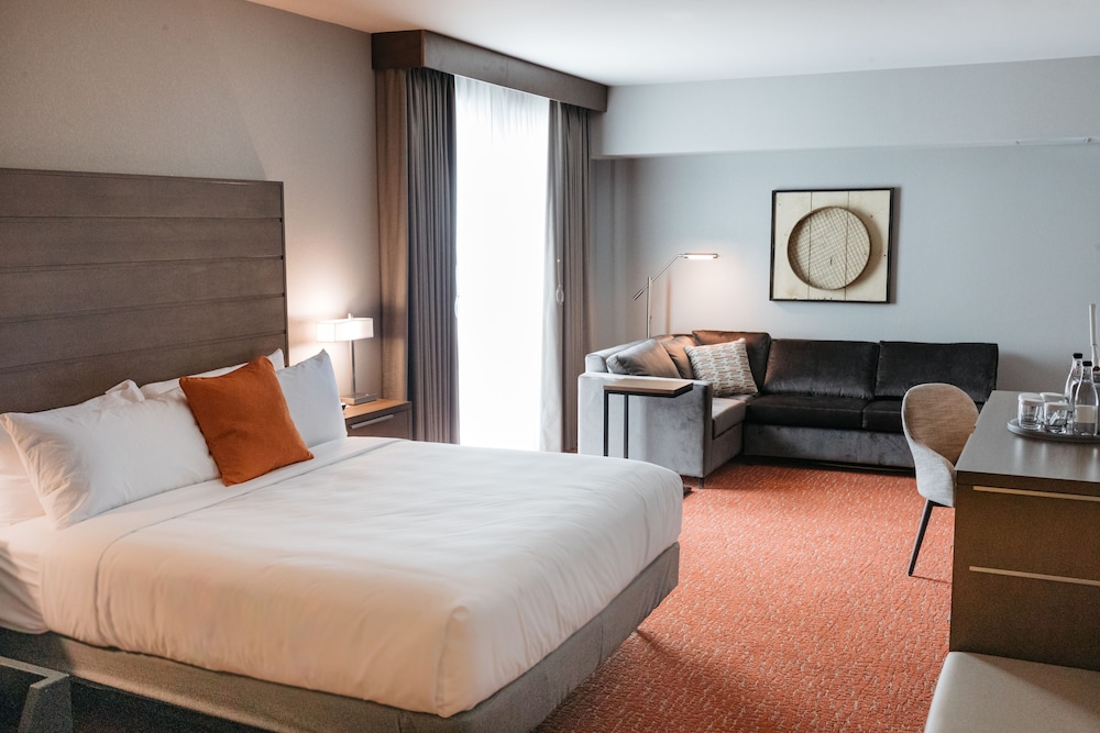 Studio Suite, 1 King Bed, Accessible (Roll-In Shower) - Photo 4