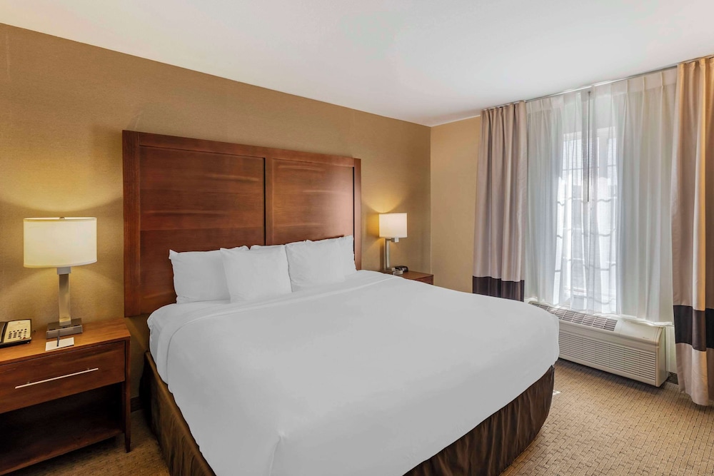 Suite, 1 King Bed, Non Smoking - Photo 1