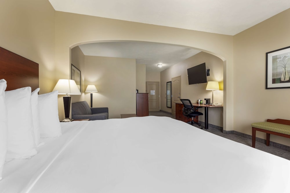 Suite, 1 King Bed, Non Smoking, Refrigerator & Microwave (with Sofabed) photo 3