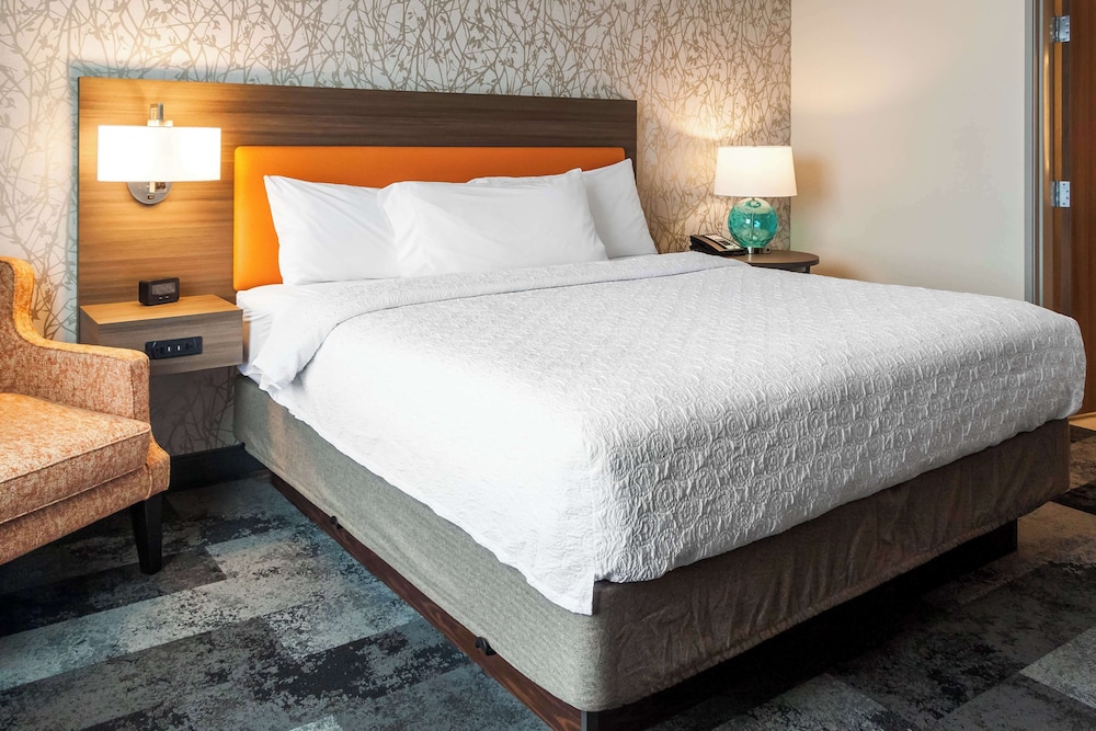 Suite, 1 King Bed, Accessible - Photo 4