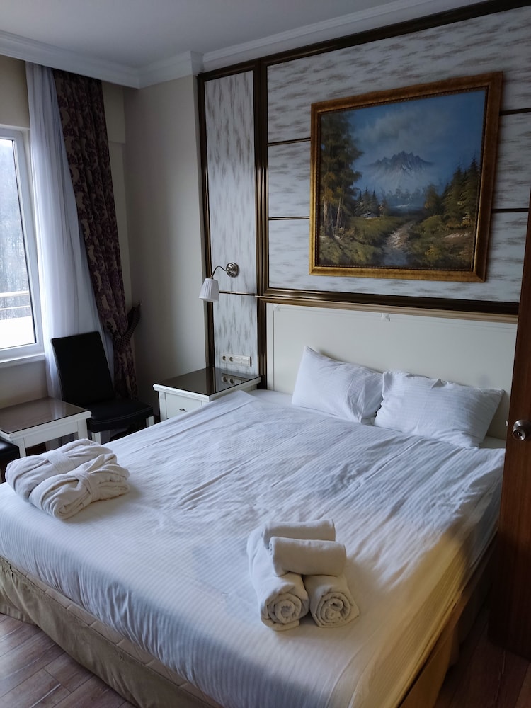 Standard Room, 1 Bedroom, Balcony, Mountain View photo 3