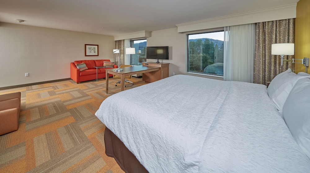 Room, 1 King Bed, Non Smoking, Refrigerator photo 3