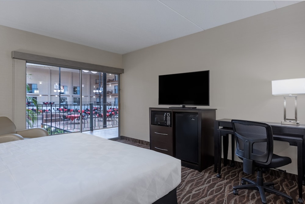 Standard Room, 1 King Bed (Holidome View) - Photo 1