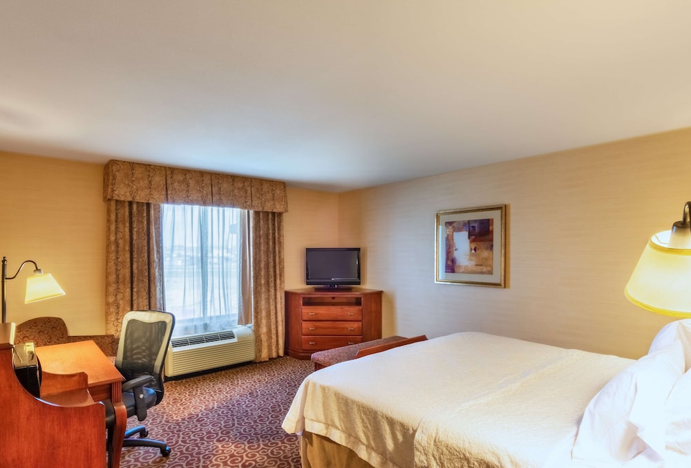 Room, 1 King Bed, Accessible - Photo 5