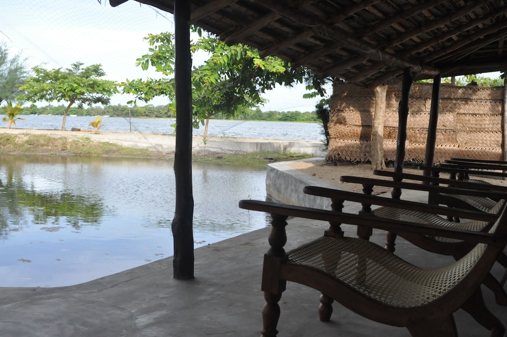 Waterfront Open Cabana photo 2
