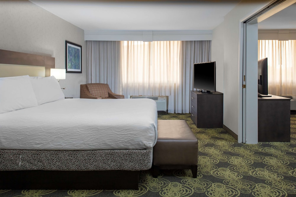 Suite, 1 Bedroom, Non Smoking photo 1