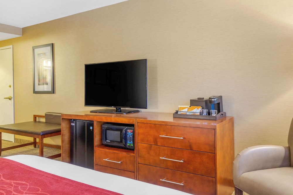 Suite - Photo 7