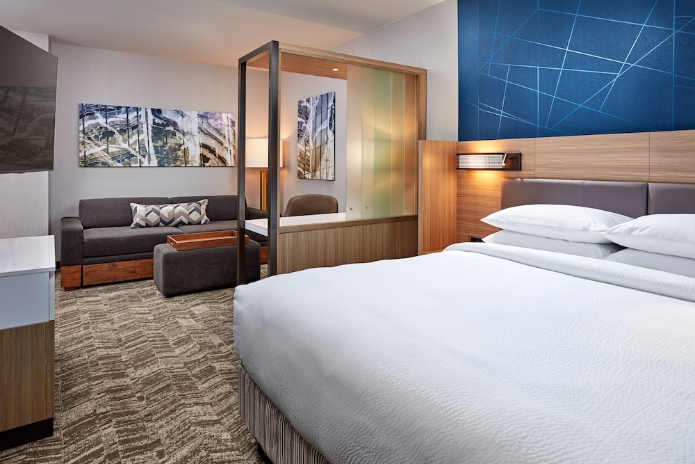 Suite, 1 King Bed photo 3