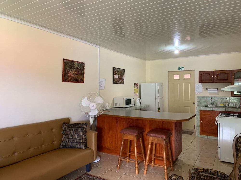 Apartment, 1 Bedroom, Kitchen photo 3