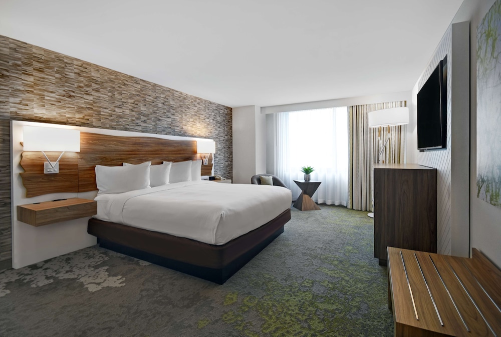 Room, 1 King Bed, Accessible - Photo 4