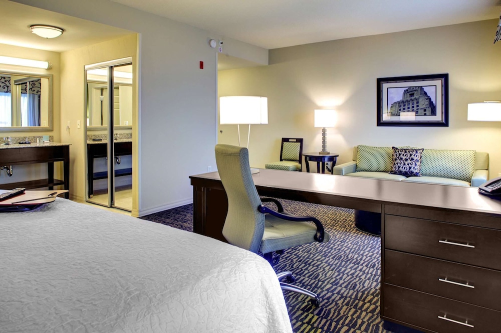 Suite, One King Bed
