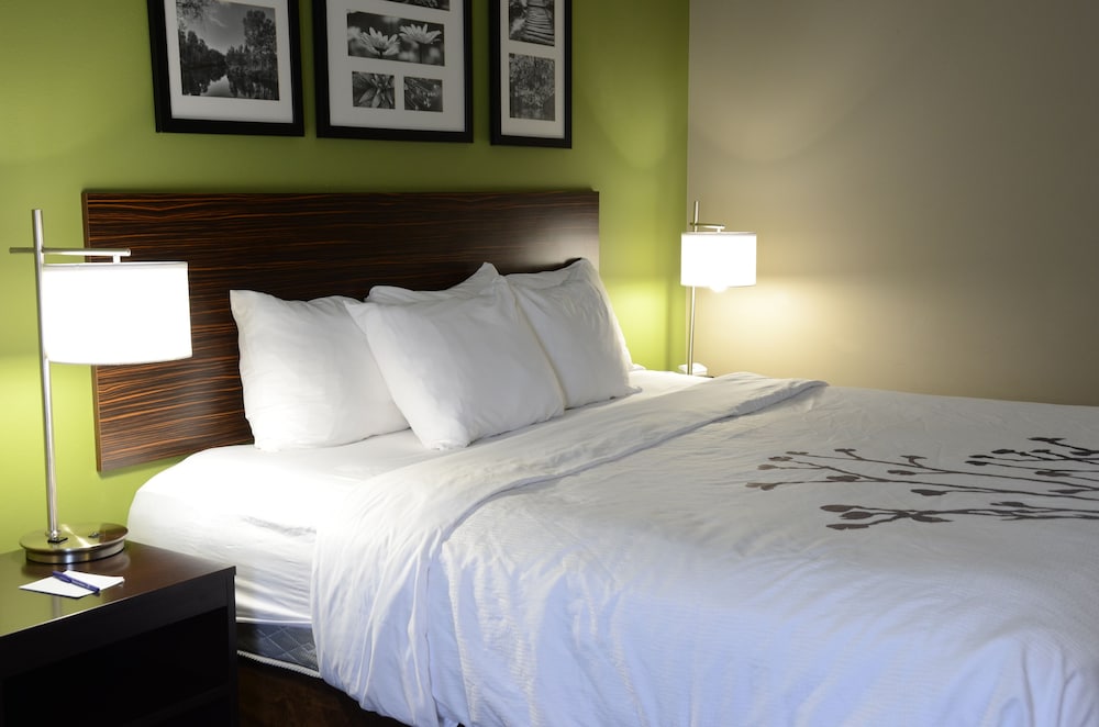Suite, 1 King Bed with Sofa bed, Accessible, Non Smoking - Photo 2