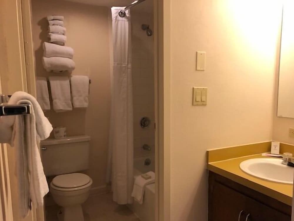 Standard Studio, Ensuite (Aspen) photo 3