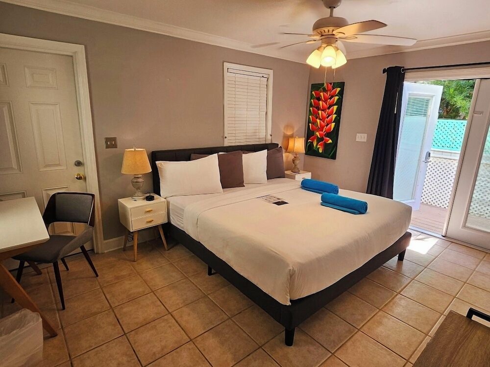 Room 30 - Economy - King Bed - Adults Only 21+