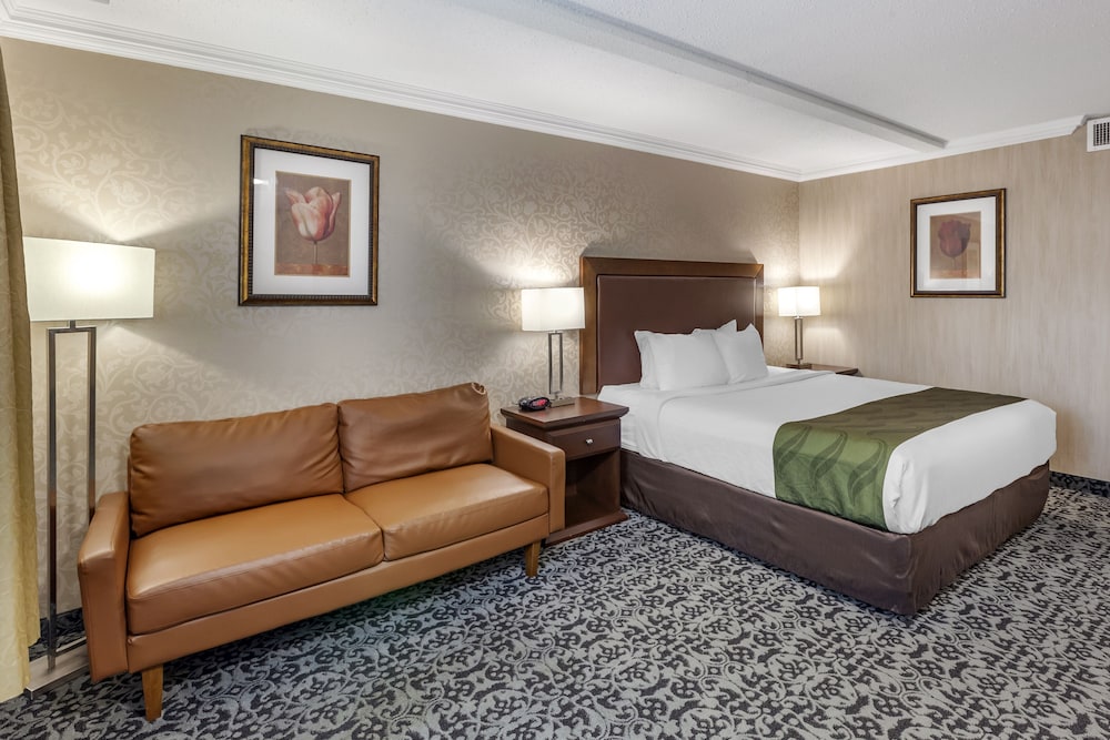 Suite, 1 King Bed, Non Smoking (Upgrade) - Photo 6