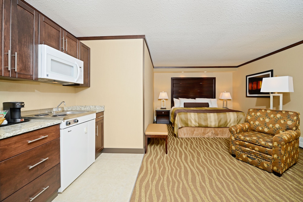 Room, 1 King Bed, Kitchen photo 3