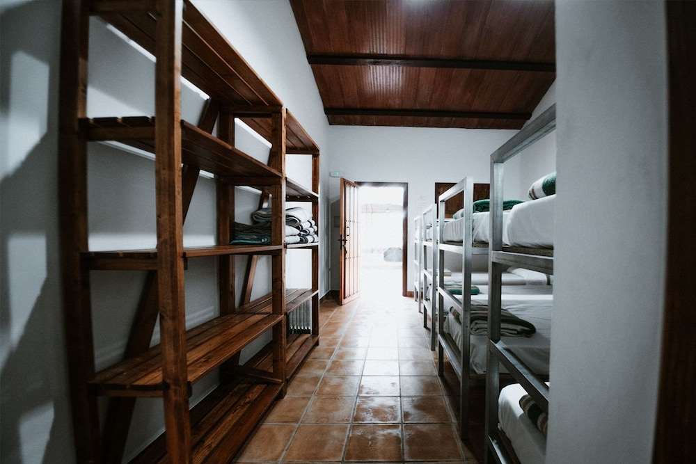 Shared Dormitory photo 3