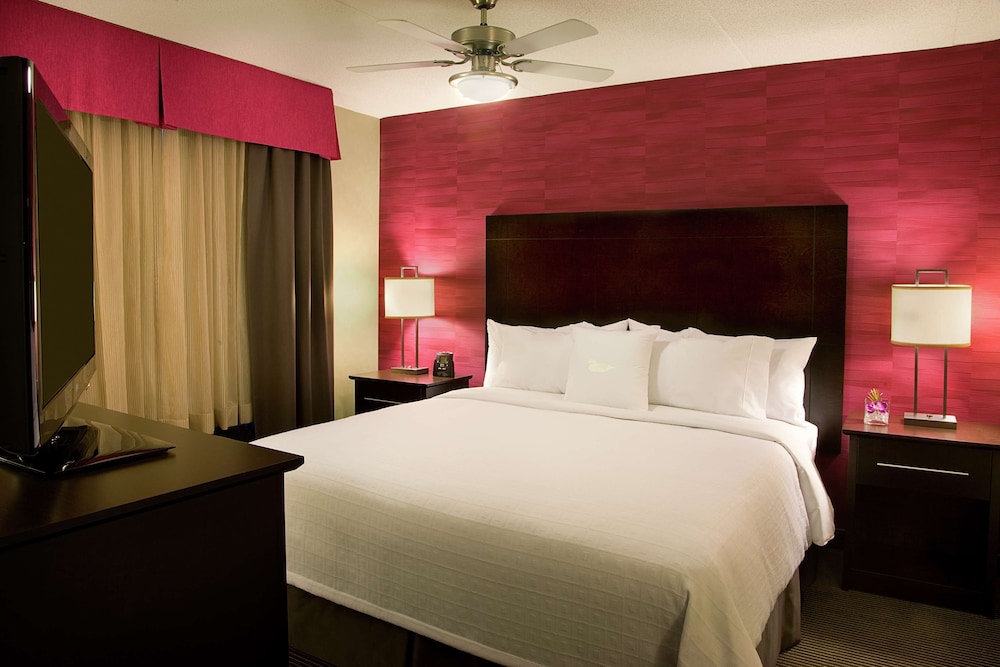 1 Bedroom Suite, One King Bed And One Sofa Bed, Accessible, Smoking photo 3