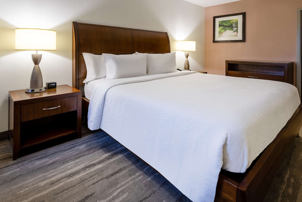 Suite, 1 King Bed, Hearing Accessible photo 3