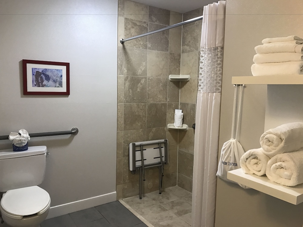 Room, Accessible, Non Smoking - Photo 10