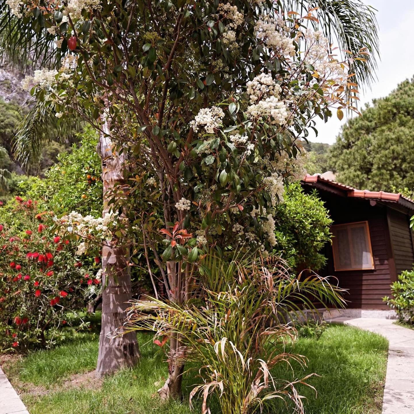 Two-Bedroom Bungalow