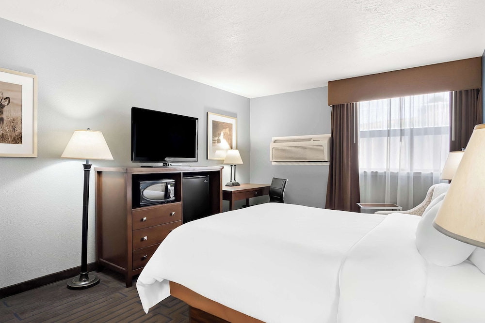 Standard Room, 1 Queen Bed, Non Smoking, Refrigerator & Microwave photo 3
