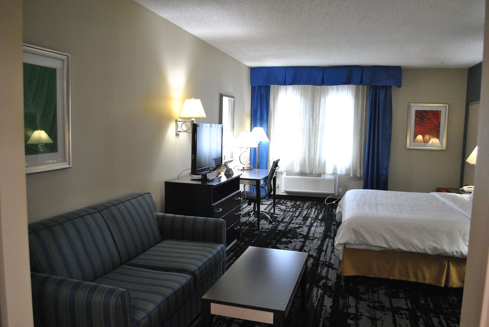 Standard Room, 1 King Bed, Non Smoking, Refrigerator & Microwave (with Single Sofabed) - Photo 5