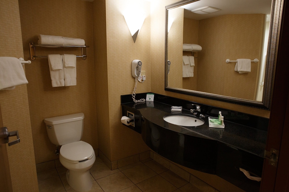 Standard Room, 1 King Bed, Accessible Bathtub (Communications) - Photo 5