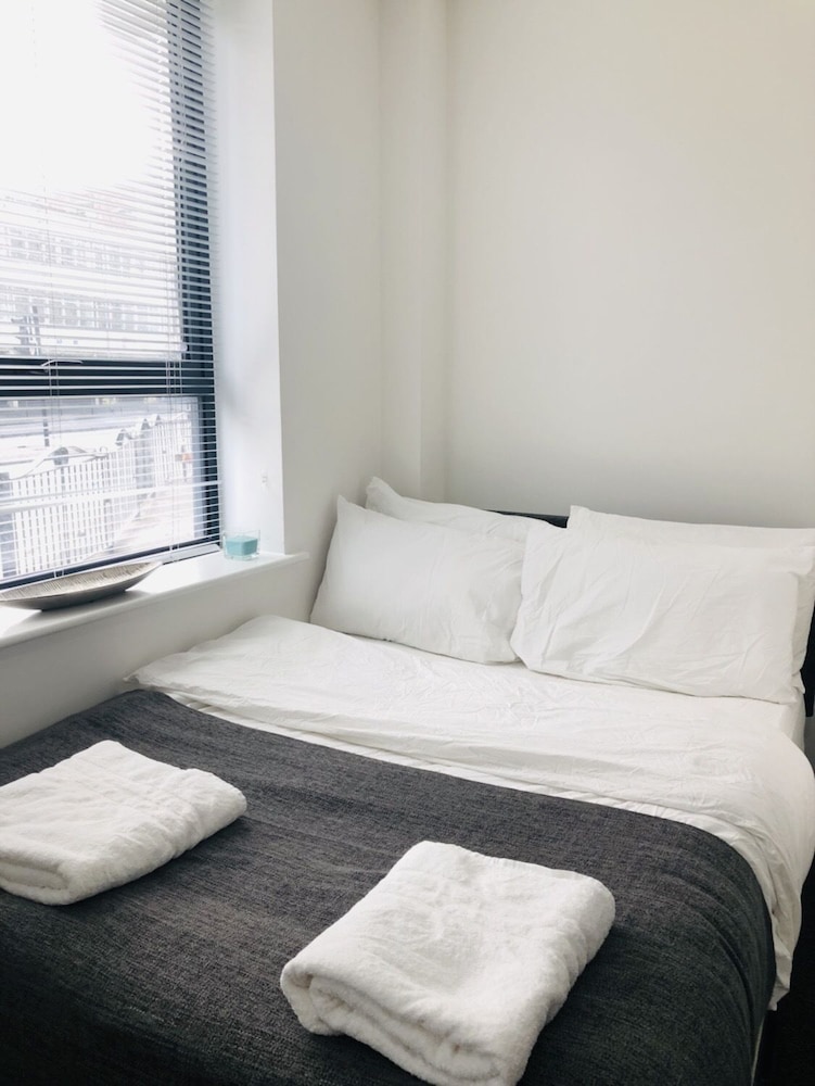 Luxury Studio, Private Bathroom (D/SF-4PPL)