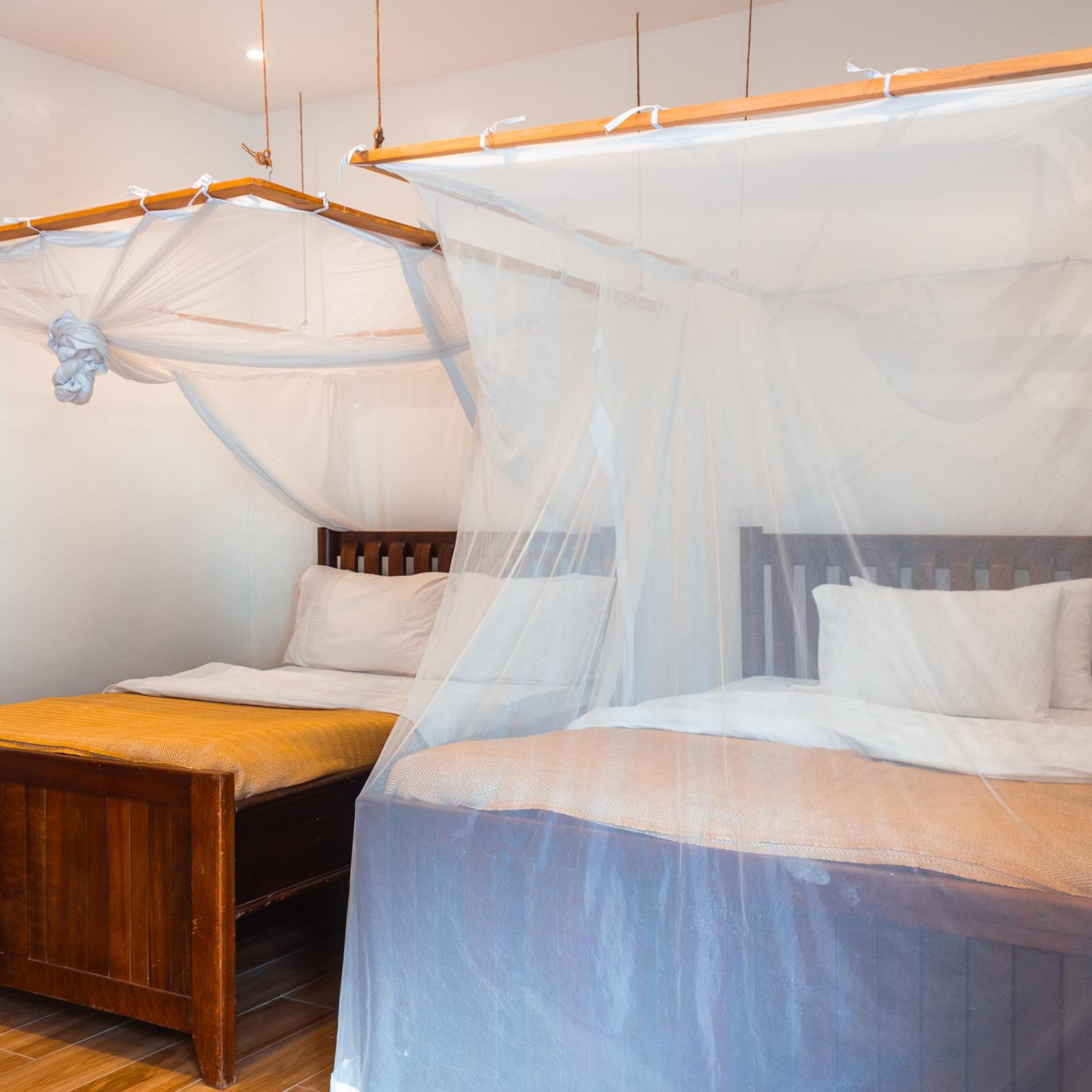 Twin Room with Terrace - Photo 1
