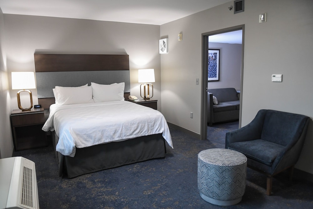 Suite, 1 Bedroom, Accessible (Communications) - Photo 3