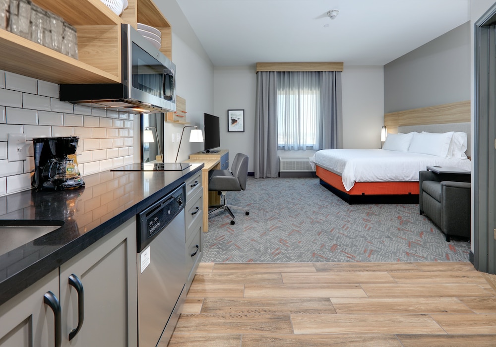 Studio Suite, 1 King Bed, Accessible Bathtub (Accessible Tub) - Photo 2