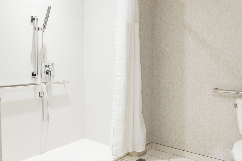 Studio Suite, 1 King Bed, Accessible (Roll-In Shower) - Photo 8