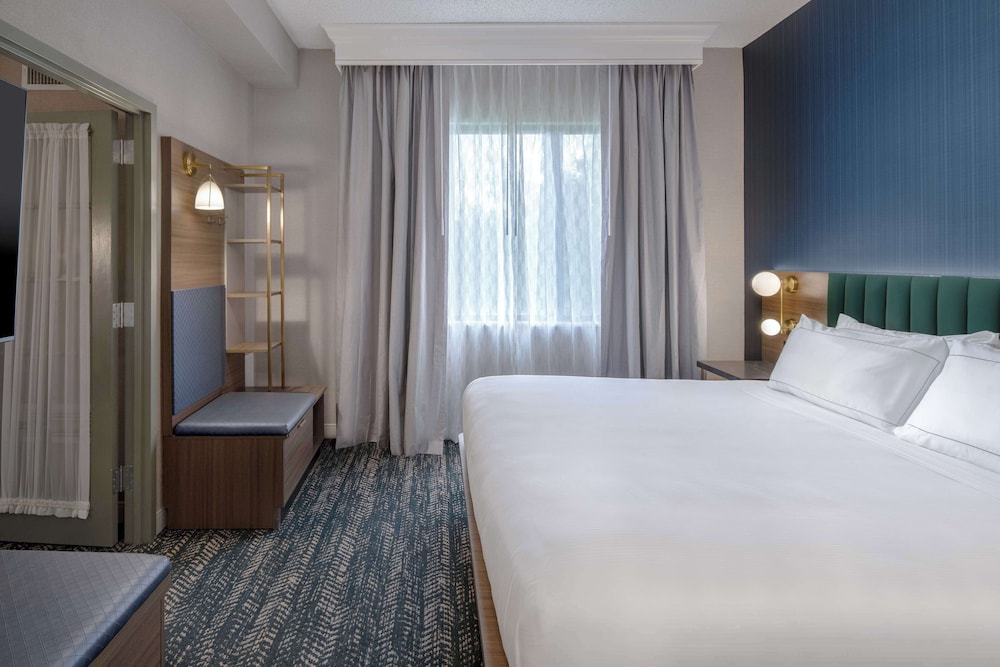 Suite, 1 King Bed (Falls) - Photo 2